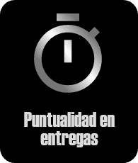 nosotros.cards.puntualidad